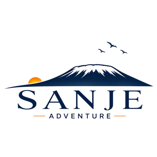 cropped cropped sanje logo