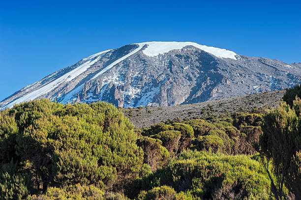 Kilimanjaro Adventure
