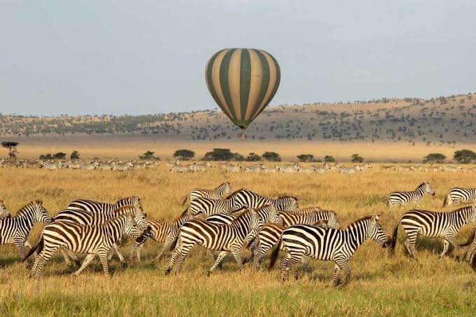 Hot Air Balloon